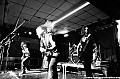 2011_10_02_Orcus_Patera_Fenfire_Adorned_Brood_Ruk_Yale_Ketema_Steinbruch_DSC01282_web.jpg