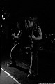 2011_10_02_Orcus_Patera_Fenfire_Adorned_Brood_Ruk_Yale_Ketema_Steinbruch_DSC01498_web.jpg