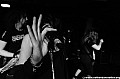 2011_10_02_Orcus_Patera_Fenfire_Adorned_Brood_Ruk_Yale_Ketema_Steinbruch_DSC01938_web.jpg